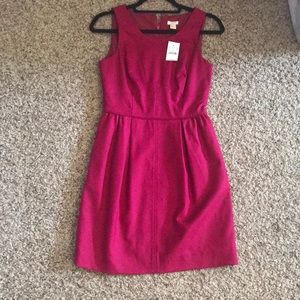 J Crew Dress. NWT.